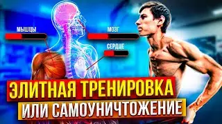 Что будет если тренировать все мышцы сразу?!