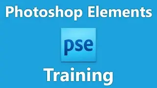 Learn How to Use the Lasso Tool in Adobe Photoshop Elements 2023: A Training Tutorial