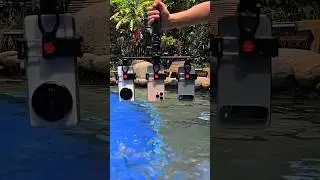 iPhone 16 Pro Max vs Pixel 9 Pro XL vs Xiaomi 14 Ultra - Whose Underwater Video Quality Is The BEST❓