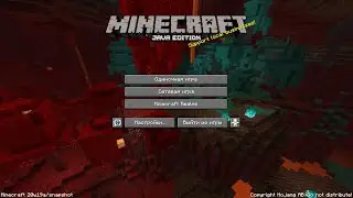 Выживание в Minecraft 1.16. Адское обновление. Обновление Незера.