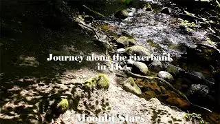 Journey along the riverbank in 4K