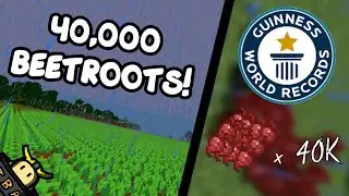 BIGGEST BEETROOT FARM! (40,000 BLOCKS!) | (Former) WORLD RECORD MC