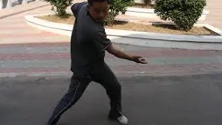 Master Zhou  |  Baji Quan 4th Form Application Sequence