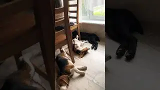 Час сон 💤...и новая тюль на окне🤣