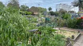 Garden Adventures
