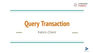 23. Fabric SDK (fabric client)  - Query Transaction - Basic Network Fabric v2.0