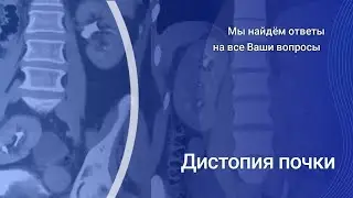 Дистопия почки