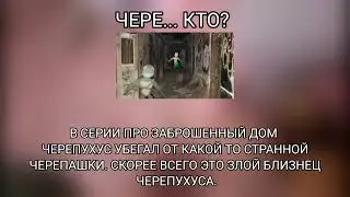 ФАКТЫ ПРО ЧЕРЕПУХУСА! 2 ЧАСТЬ!!