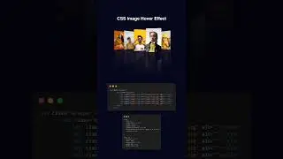 CSS image Hover Effects #css #hovereffects #webdevelopment #shorts
