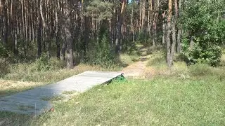 Как навести порядок в лесопарковой зоне Пинска?