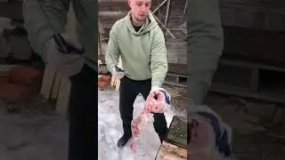 НИ ЗАУСЕНЦЕВ, НИ СКОЛОВ - ТЕСТ ТЕСАКА‼️ ЧТО ЕЩЕ РАЗРУБИТЬ? 
