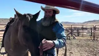 Tuning Up a Lazy Horse For Spring