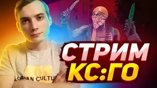 CSGO - Кто там?!►трансляция Добьем 30 лайков?