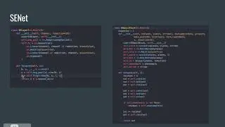 From Lenet to SENet | Part 7 | SENet | Code Analysis
