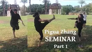 Shifu Bluestein  |  Pigua Zhang Seminar  |  Part 1 - Form