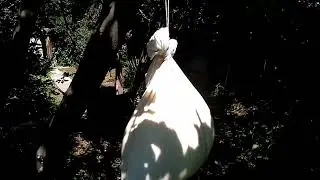 Күрт жасаймыз!Сделаем курт!