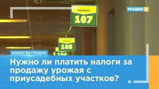 Налог на продажу урожая. Что важно знать?