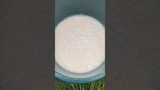 Клубника попрёт как на дрожжах от этой подкормки