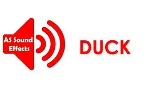 Duck Funny Sound Effect (No Copyright)  | AS Sound Effects 2021