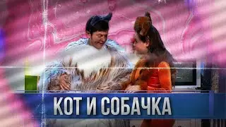 Кот и собачка - Уральские пельмени | ЛУЧШЕЕ