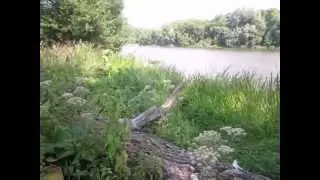 Старая Купавна. Река Купавинка (Видео-зарисовка, Winchester156, 2015)