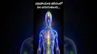 చనిపోయాక శరీరంలో ఏం జరుగుతుంది | Real Facts In Telugu | 