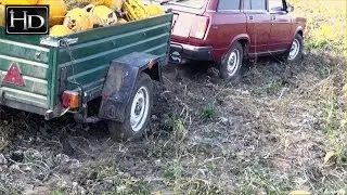 Сбор и перевозка ТЫКВЫ ☆ VAZ-2104i и прицеп LEV-21
