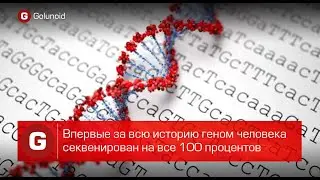Впервые за всю историю геном человека секвенирован на все 100 процентов
