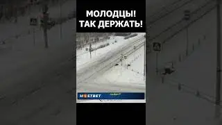 Водители спасли женщину👍Респект #автохам