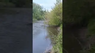 Река. 