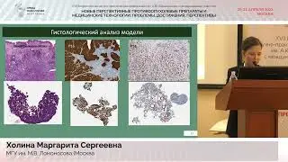 Исследование влияния пьезоэлектрического эффекта скаффолдов_ Холина М.С.