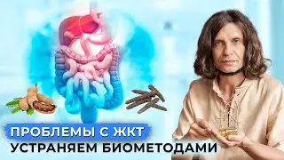Проблемы с ЖКТ  -  тошнота, рвота, диарея, раздраженный кишечник и другие  Устраняем биометодами