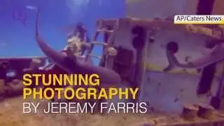 Thrilling Photoshoot of Model and Sharks