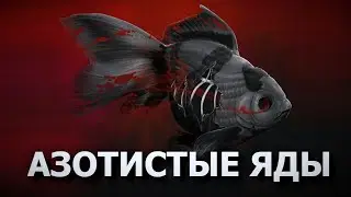 Аммиак нитрит нитрат в аквариуме, как его снизить?