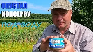 ОПУСТИЛ НА ДНО ОЗЕРА КОНСЕРВИРОВАННОГО ТУНЦА. Реакция рыбы. Подводная съёмка.