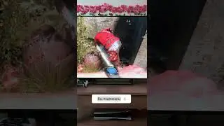Как правильно заряжать Nintendo Switch Oled