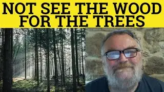 🔵 Can't See the Forest for the Trees - Meaning - Can't See the Wood for the Trees Examples - Idioms