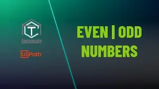 Even Numbers | Odd Numbers | Understanding Even and Odd Numbers: Explained Simply