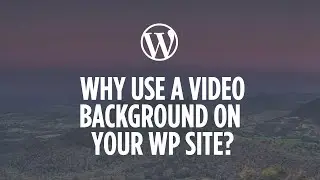 Why Use a Video Background in Your WordPress Website?