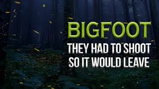 Shooting at Bigfoot