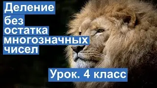 Урок. Деление без остатка многозначных чисел. Пример №4. Математика 4 класс. 