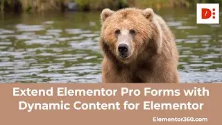 Extend Elementor Pro Forms with Dynamic Content for Elementor