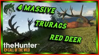 4 MASSIVE TRURACS RED DEER + Albino! theHunter Call Of The Wild truRED Beta