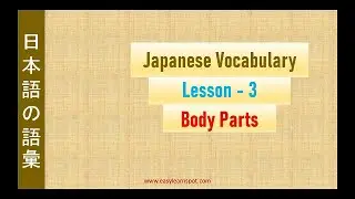 Japanese Vocabulary |  Lesson 3 | Body Parts