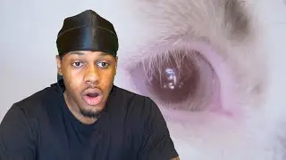 JOJI - DIE FOR YOU (REACTION)