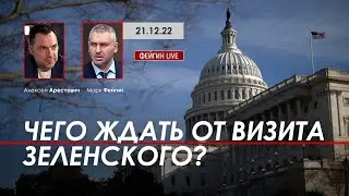 Арестович, Фейгин: Чего ждать от визита Зеленского?