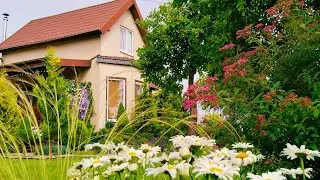 ОБЯЗАТЕЛЬНО ОБРЕЖЬТЕ ЭТИ РАСТЕНИЯ ЛЕТОМ🌿 ИЮЛЬ. Жизнь с Цветами и Огородом #дом #garden #сад #огород