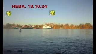 Нева  18 10 24 релакс-видео
