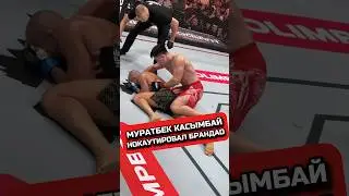 КАСЫМБАЙ НОКАУТИРОВАЛ БРАНДАО #чемпион #ufc #mma #бой #ufc #kz #юфс #champion #бой #fighting #hype