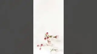 Новинка! Бюстгальтер для большого размера груди Fantasie Pippa. Мягкая чашка, пояс 65-85, до H чашек